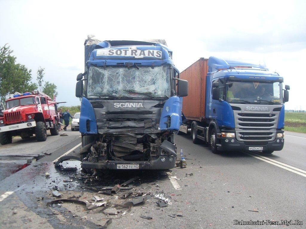 Два грузовика столкнулись на федеральной трассе М-1 Беларусь в Московской области